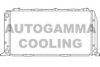 AUTOGAMMA 100041 Radiator, engine cooling